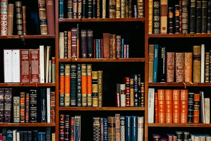 Library adventure books