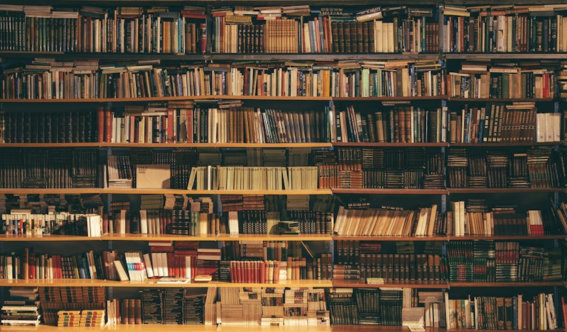 Beautiful library shelves